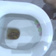 In a pink lace bodysuit, Princess Cheryl talks dirty about how horny she is, then sits backwards on the toilet, spreads her cheeks and shits. She shows off her poop in the bowl and keeps teasing. Presented in 720P HD. 305MB, MP4 file. Over 7 minutes.